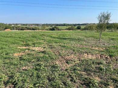 135 Common Way, Boyd, TX 76023 - photo 2