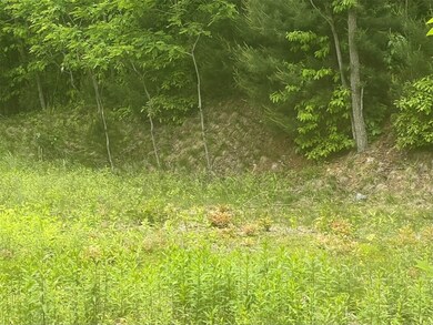 Flat cleared area on lot
