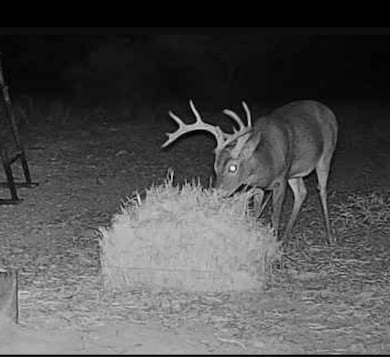 9288 Sutton County Road 406, Sonora, TX 76950 - photo 4