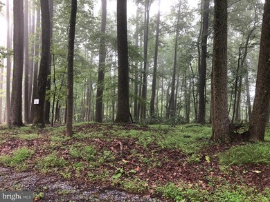 LOT 37 Adelaide Cir, Kabletown, WV 25425 - photo 5