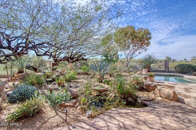 Backyard 4