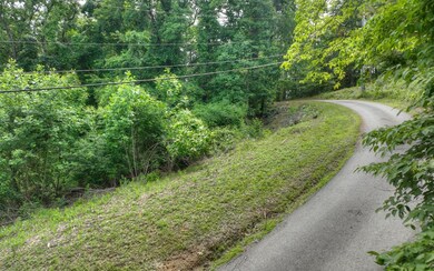 LT 42 Mountain Rivers Ln, Mineral Bluff, GA 30559 - photo 5