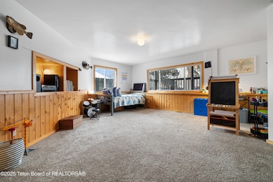 Lower Level Flex Room