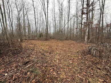 Home site 2