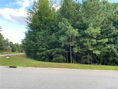 69[ Firethorn Ct unit Lot 69 LT Lakewood S, Catawba Springs, NC 28037 - photo 2