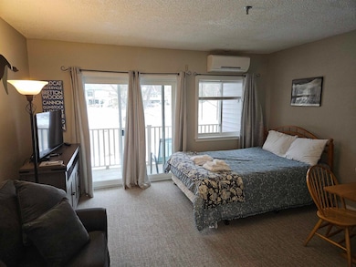 36 Lodge Rd unit D115, Lincoln, NH 03251 - photo 6