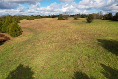 Track 3 E Farm Road 60, Franklin No. 2 Township, MO 65803 - photo 6