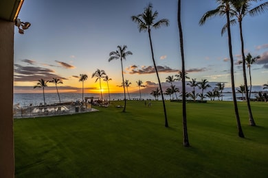 View from Lanai