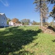 Rear yard looking towards the house