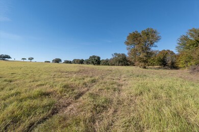 Open pasture ideal for with coastal bermuda ideal for grazing or hay production.