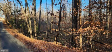 0 Buggy Ln unit VAMA2002548, Uno, VA 22738 - photo 5