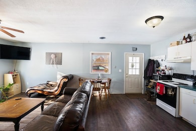 3955 N River Dr, Newaygo, MI 49337 - photo 3