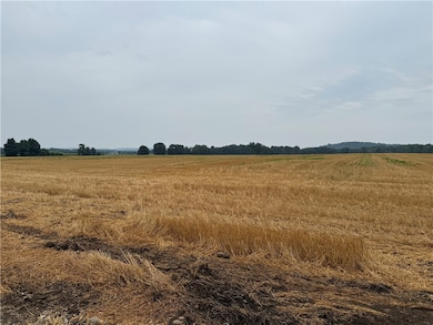 Lot 5 Mile Square Rd, Mendon, NY 14506 - photo 3