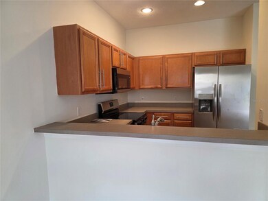 20403 Harvest Oak Ct, Tampa, FL 33647 - photo 4