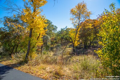 00 Scenic Loop Rd, San Antonio, TX 78255 - photo 7