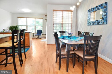 4335 Vintage Ivy Ln, Owings Mills, MD 21117 - photo 5