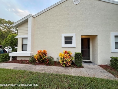 9410 Nakoma Way, Weeki Wachee, FL 34613 - photo 2