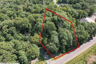 Lot 1 Eday Ln, Bella Vista, AR 72715 - photo 3