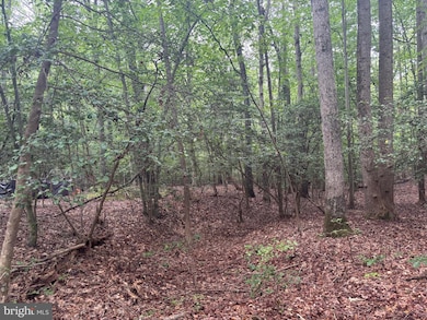 16661 Bald Eagle School Rd, Brandywine, MD 20613 - photo 3