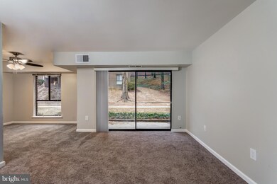 17822 Buehler Rd, Olney, MD 20832 - photo 6