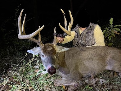 State Highway D (14 4+ - Acres), Eolia, MO 63344 - photo 4