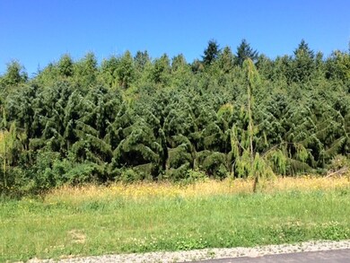 590 Meeker Ln, Lynden, WA 98264 - photo 4