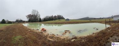 1820 Wax Rd, Clarkson, KY 42726 - photo 3