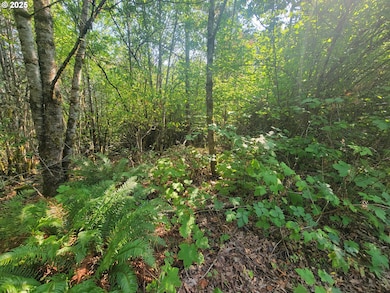 0 Finn Rd unit 591691188, Sheridan, OR 97378 - photo 2