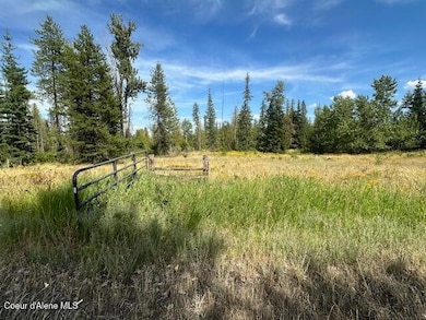 77523 State Highway 3, Saint Maries, ID 83861 - photo 3