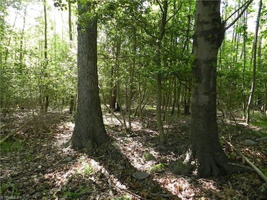 0 Old Nc Highway 13 unit 886063, Asheboro, NC 27205 - photo 6