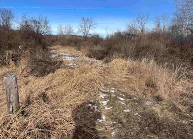 000 Grapevine Ave, Tomah, WI 54660 - photo 4