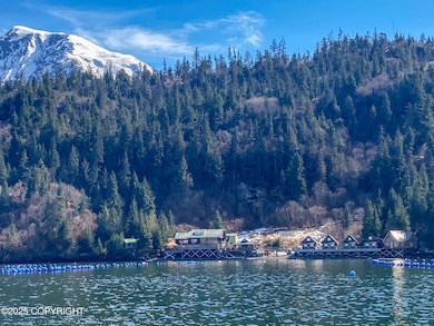 50815 Halibut Cove Rem SW, Homer, AK 99603 - photo 2