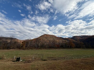 0 Bear Track Way unit 709747, Del Rio, TN 37727 - photo 4