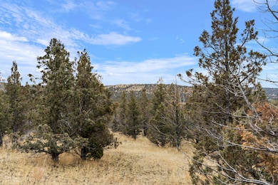 0 SE Juniper Canyon Rd unit 220196956, Prineville, OR 97754 - photo 5
