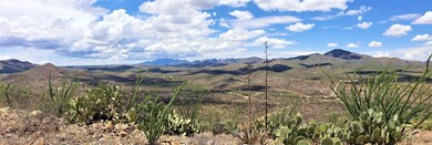 15600blk E Attaway Trail, Vail, AZ 85641 - photo 7