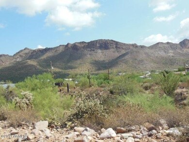 Goldfield Mt