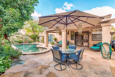 Backyard Oasis