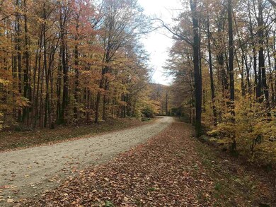 105 Slawson Rd, Weston, VT 05161 - photo 4