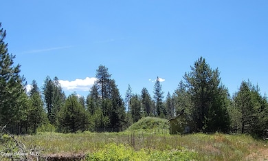 29222 N 1st St, Athol, ID 83801 - photo 4