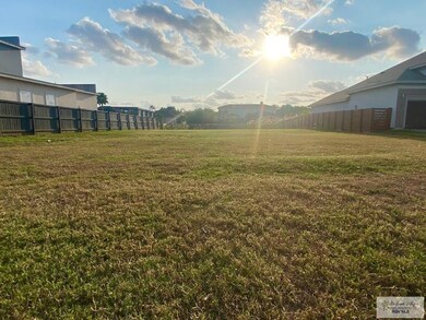 3233 Dusk Dr, Brownsville, TX 78520 - photo 2