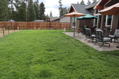 BackYard3