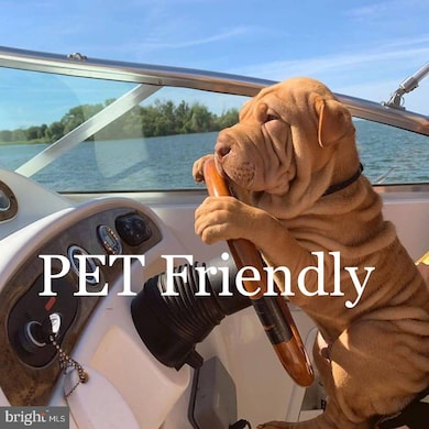 1140 Cove Rd unit 202, Annapolis, MD 21403 - photo 3