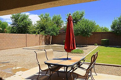 View from the back patio.