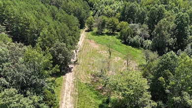 1476 Major Hill Rd, Bethel Springs, TN 38315 - photo 4