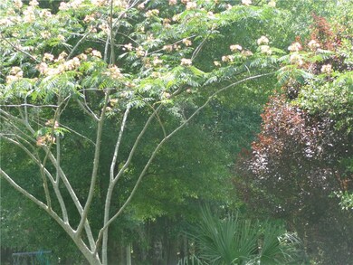 56002 Griffin Rd, Callahan, FL 32011 - photo 4