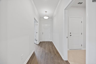 129 Monroe Preserve Dr, Chapin, SC 29036 - photo 5