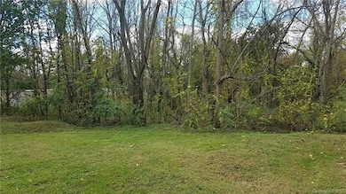 102 Brooklyn Rd, Asheville, NC 28803 - photo 4