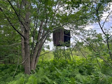 0 Rt 14 unit 4918518, Albany, VT 05820 - photo 5