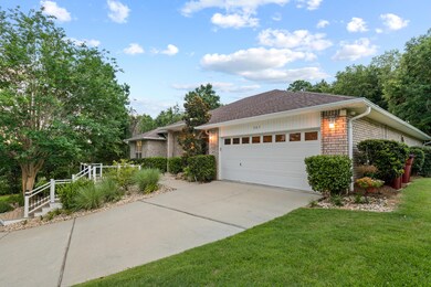 305GreyFoxCir-57