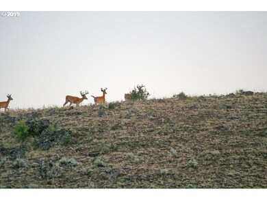 0 Rail Canyon Rd unit 19056183, Joseph, OR 97846 - photo 7